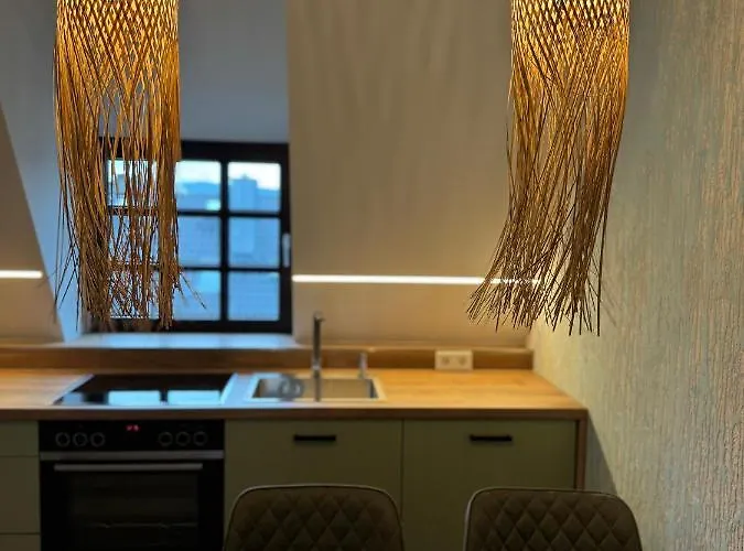 H-36 1.1 Apartment Koblenz (Rhineland-Palatinate)